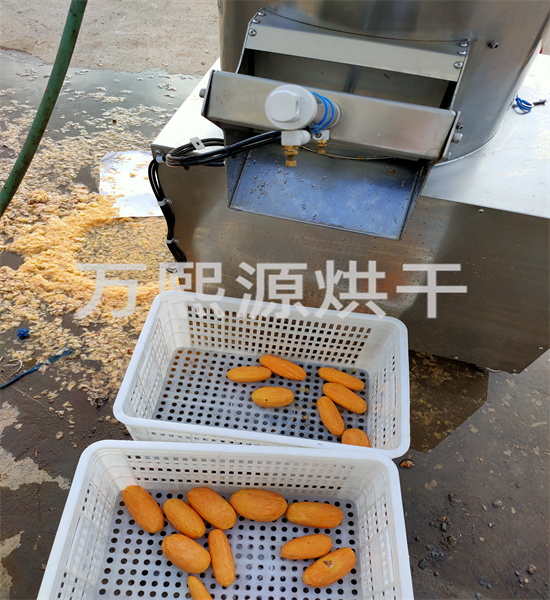 不銹鋼削皮機(jī)