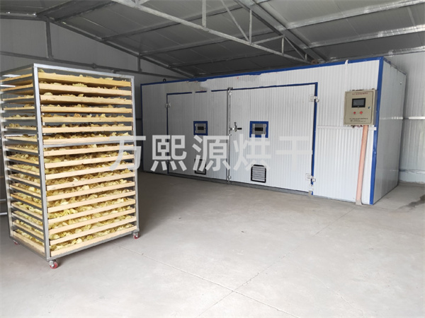 金花葵烘干機