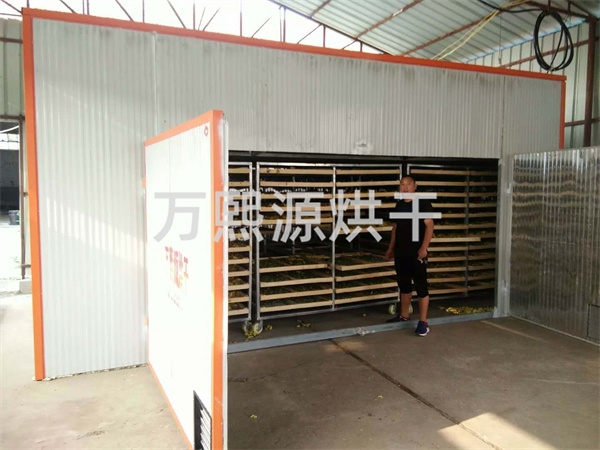 金花葵烘干機